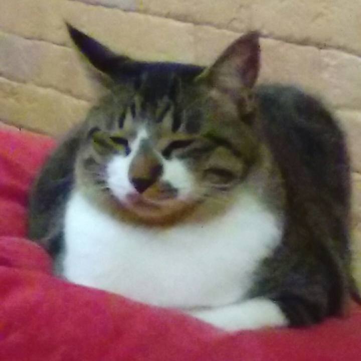 72765263 9df7 452f aa03 992bd322faf5