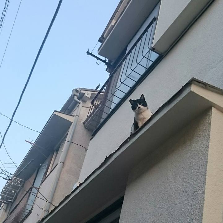 7276a686 0bfd 491b 9fdf 356b5112036f