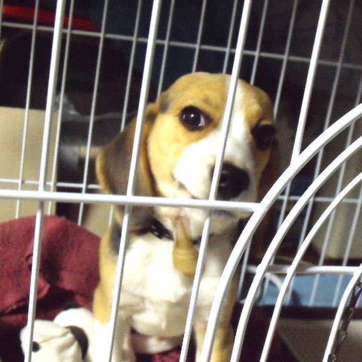 72771aea 2c52 4f42 9146 33d0217c8645