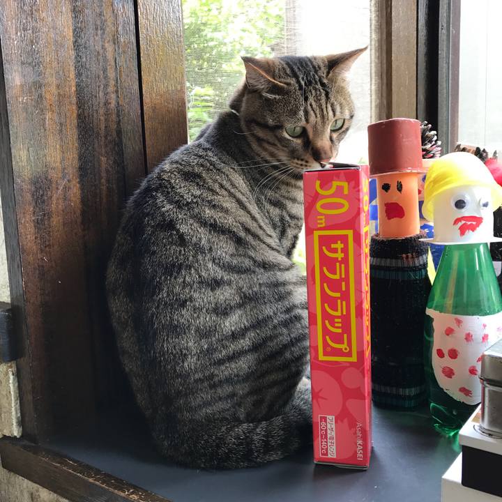 7277d17c 3dc6 495e 92e7 bee650c50ca9