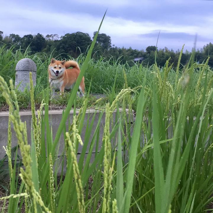 727897aa 3f63 4976 883c a0aba3d99b96