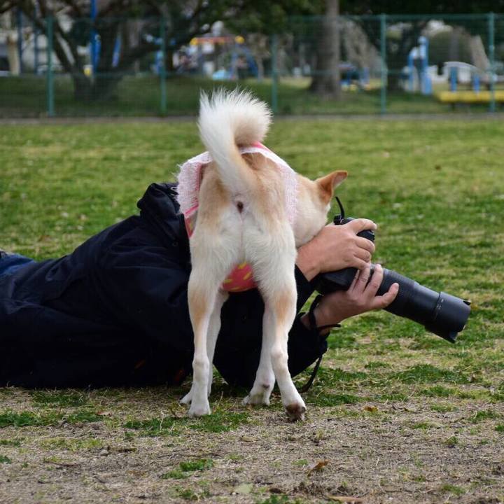 727971ef 13b9 49f2 a5c7 446e131d2479