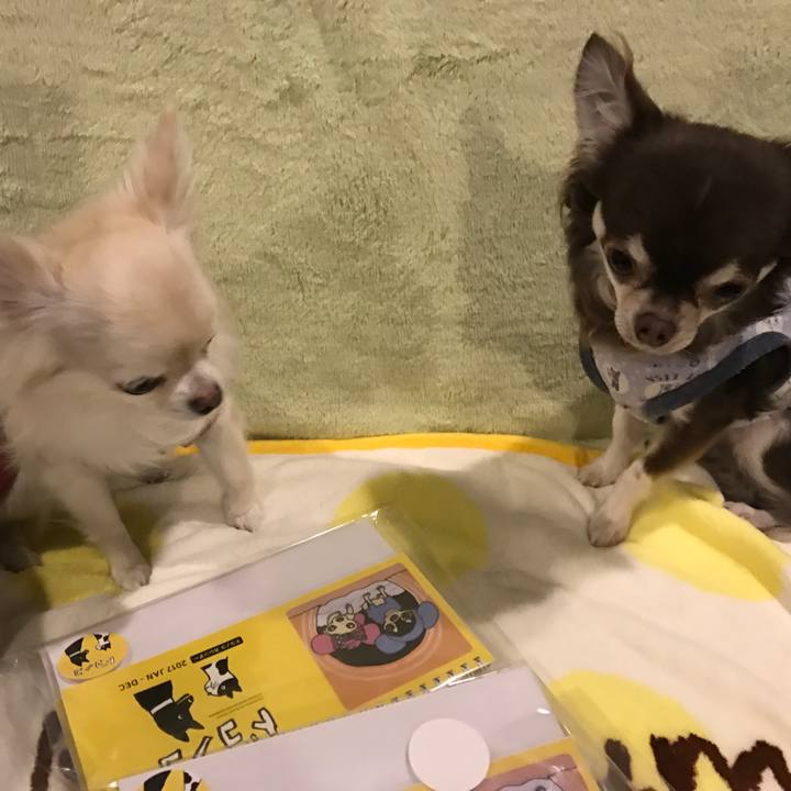 727981c7 3c39 4cb6 8ba2 2229236e3f56