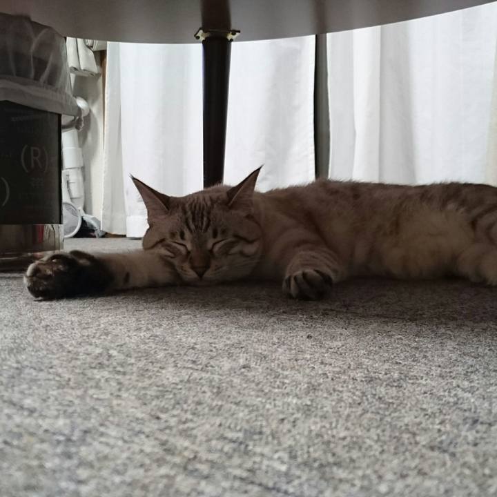 727a07e1 d1eb 4309 8d59 2e2745dc0043