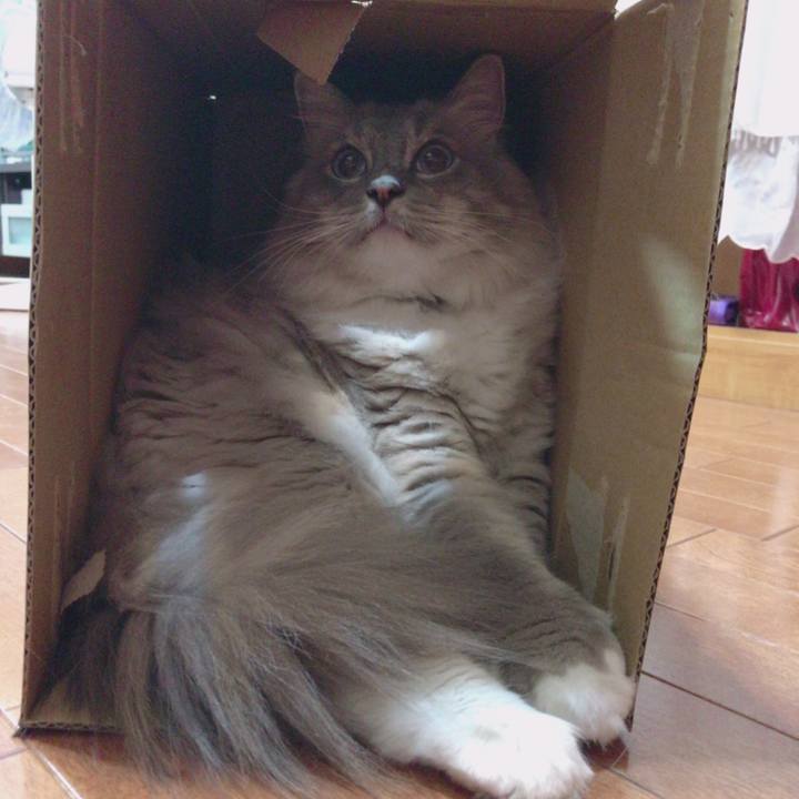 727b36d8 b6f4 4278 9793 4664f3b1deaf