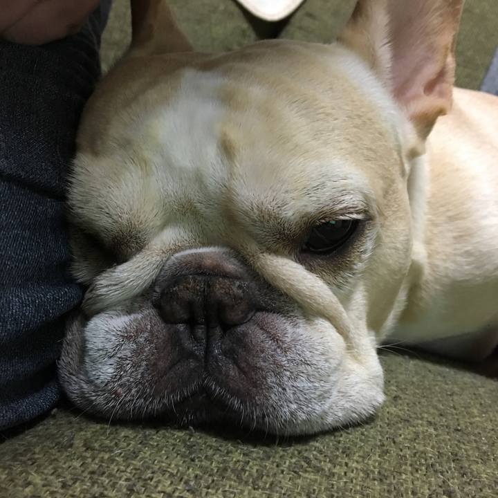 727b8ee4 9220 4205 9912 d53b6e5b4084