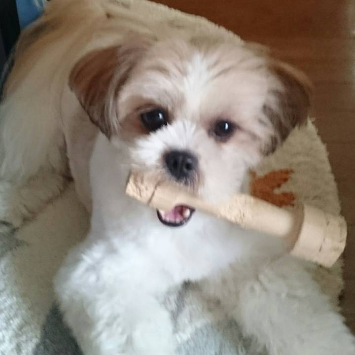 727b99c7 5da2 4291 9cdc a38b3e313ae6