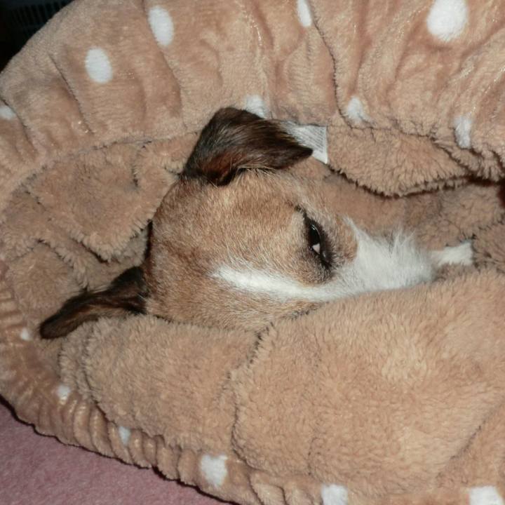 727bbc6f 489e 4dbd 8a7e 8e64340dab01