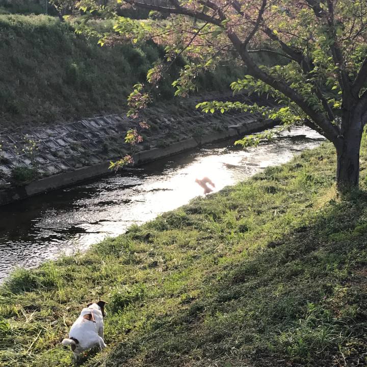 727d2b4d 2bb8 4fbc 8ac0 87f54642609d