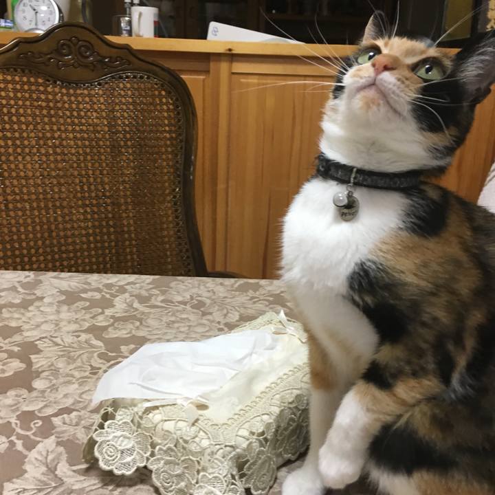 727d36a4 318d 4b0e ac1e ae43eef83e16