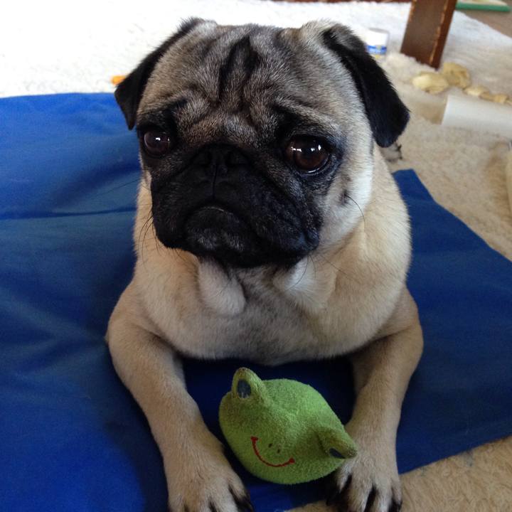 727d9338 ba3b 4c99 aff6 6d881c49cd9d