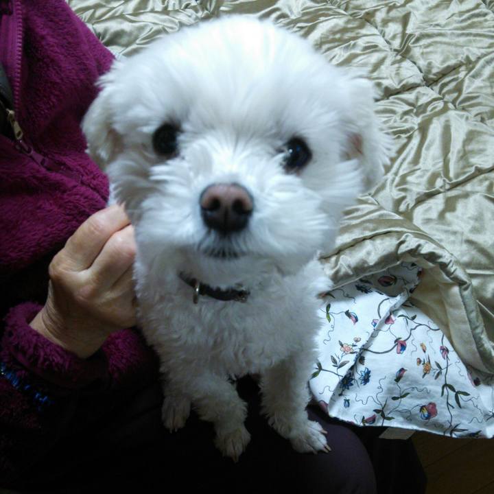 727dabfd 0836 42fd bc9d 52d9e6a1341b