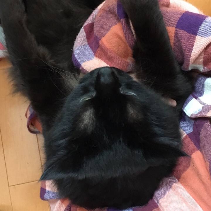 727e1c4c ccaf 43f9 91de 3e43f3e09f98