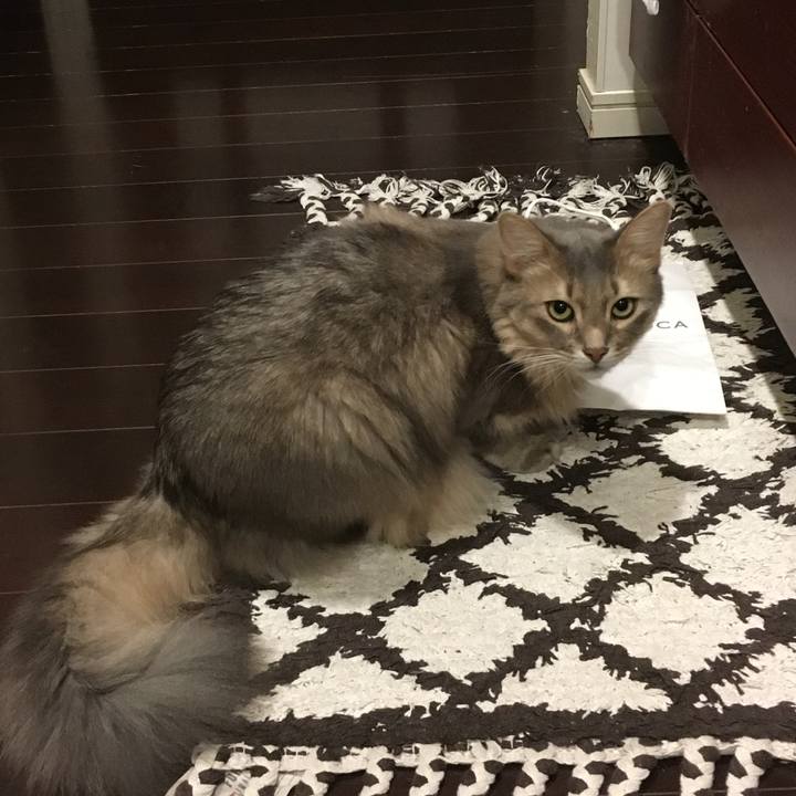 727f965e 65c9 4fd4 b225 52fcbf8915f0