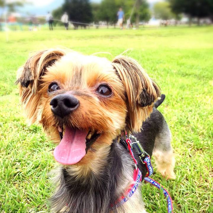 7280a8a9 2840 4beb b8f0 8f091ceb1520