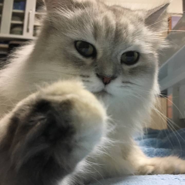 7280d137 8abc 413f 8aaa a6ea9713c529