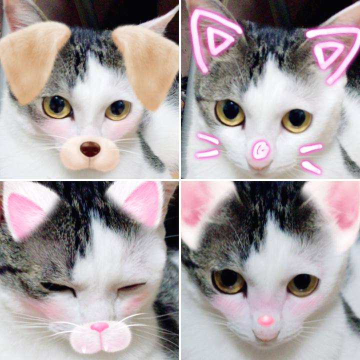 7280d8af f802 4517 ba54 dbbc01be119f