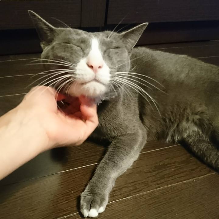 728128b8 0820 4136 a509 ed47a04751f1