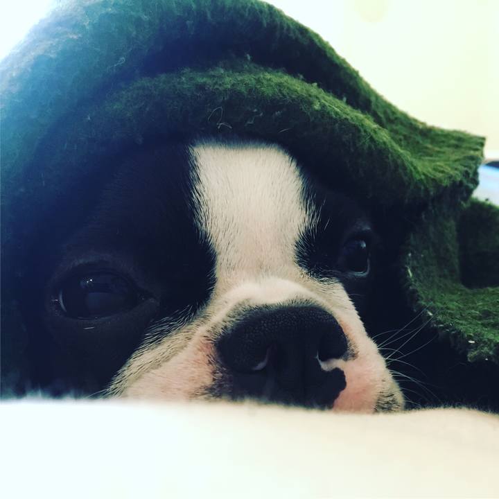 7281570e adc2 4d65 a840 97eefae547b0