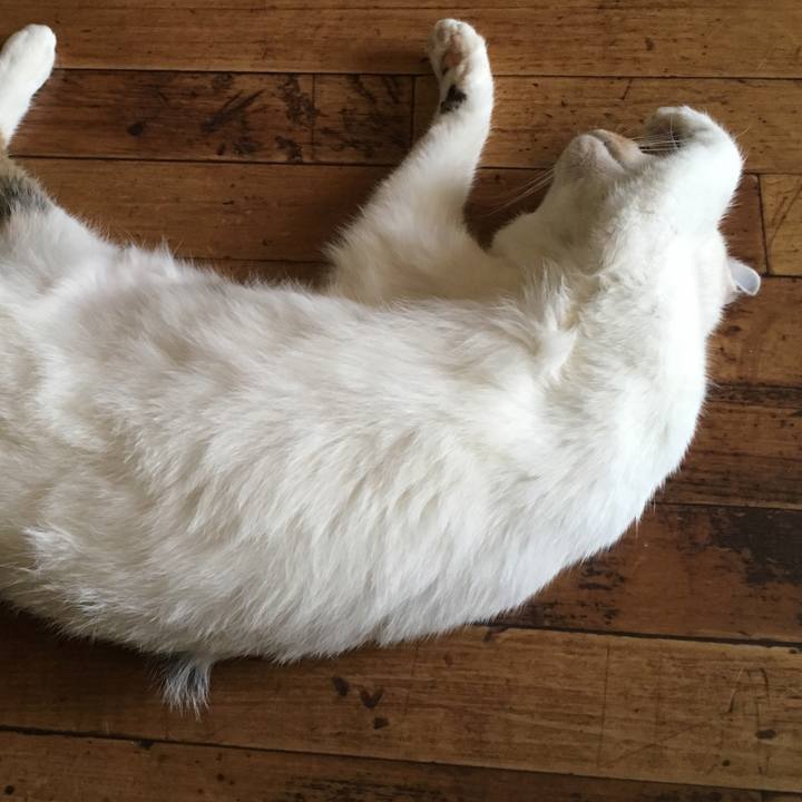 72818778 9ddd 419d 9a96 444a2a850ddb