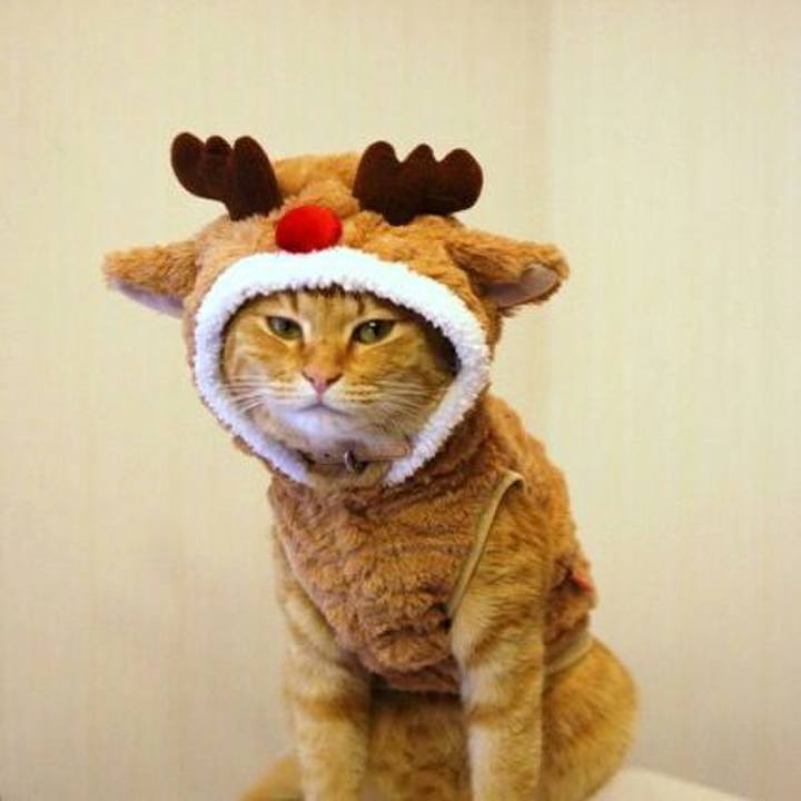 7281fa4d 8b34 49d1 8feb 2ef5ab0f6af5