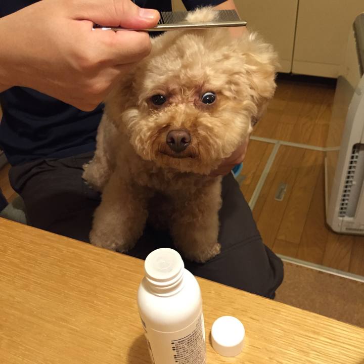 72821865 a710 4752 9521 90df58684f52