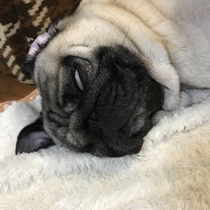 728237ba 77b0 475e 99a1 b70bc2a81fad