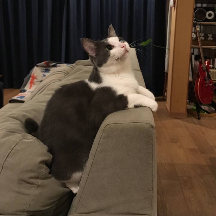 7282c2a3 a9f8 465d bcb0 49ccb2dfaa20