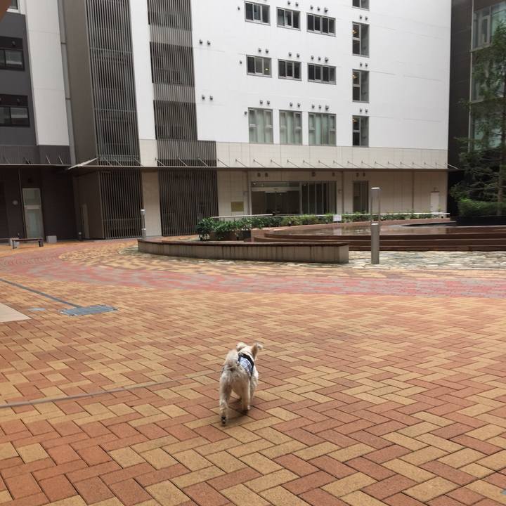 7282d357 3c02 453b a4bc 1f48c5a8a967