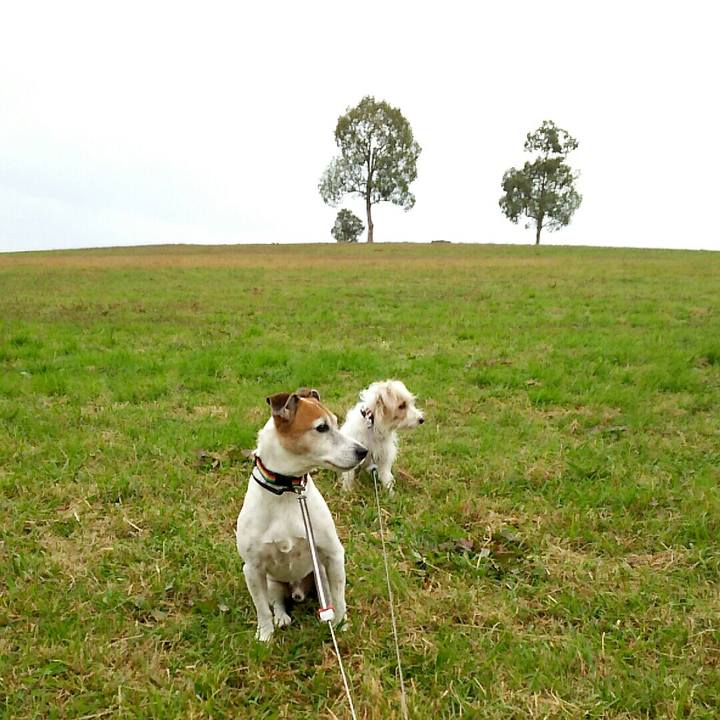 72833cbc 043a 4132 9a9a 296ab7a10b12