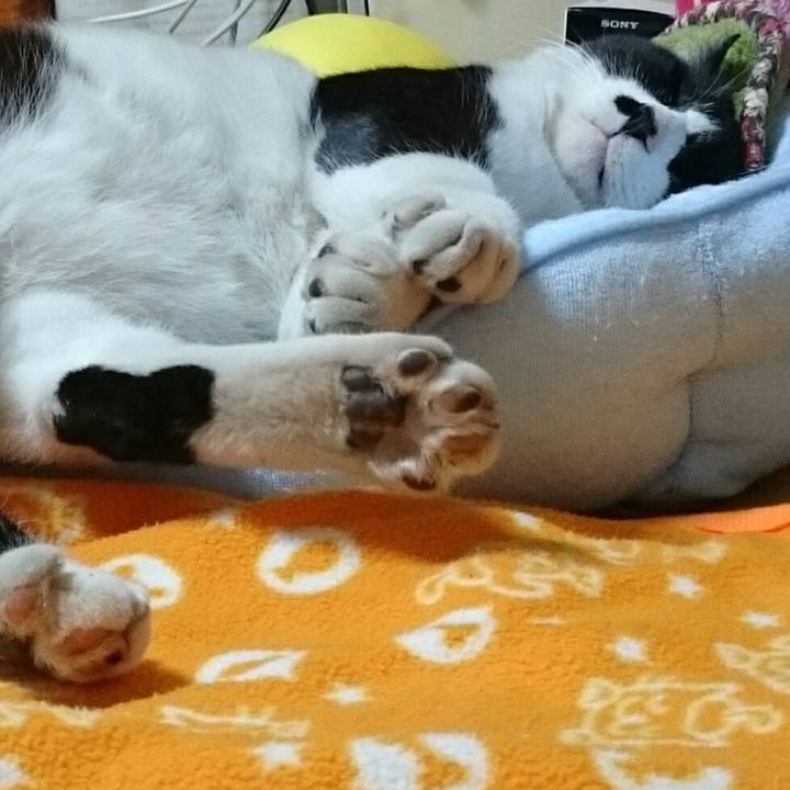 72833f61 555a 47ac 8f3d 6a2485a334bd