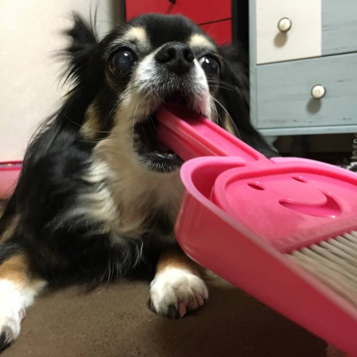 72839452 daad 4ea7 ab1b aae207cfed71