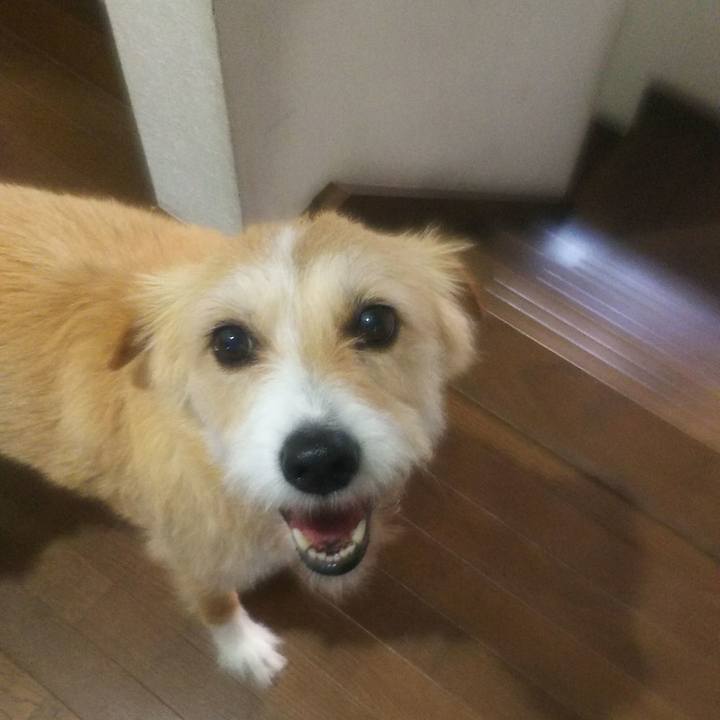 7283d6df 391b 437a 9594 acfbbb91a694