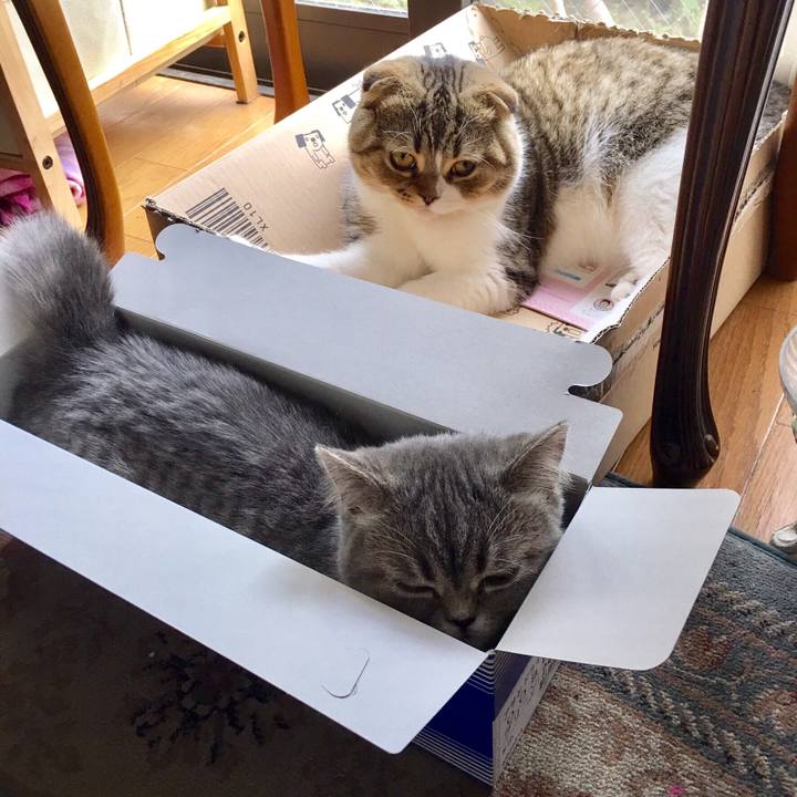 72846cef 17f4 48a9 9ba4 5298795ca092