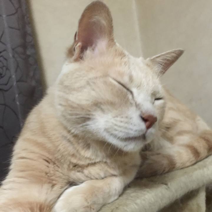 7284a0b0 f806 4f50 8963 c4c30cd1a2ea