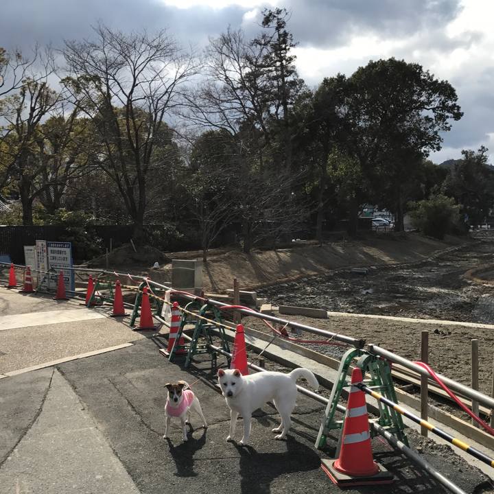 72850ecc d6d5 41a6 80ab 935b779d739a