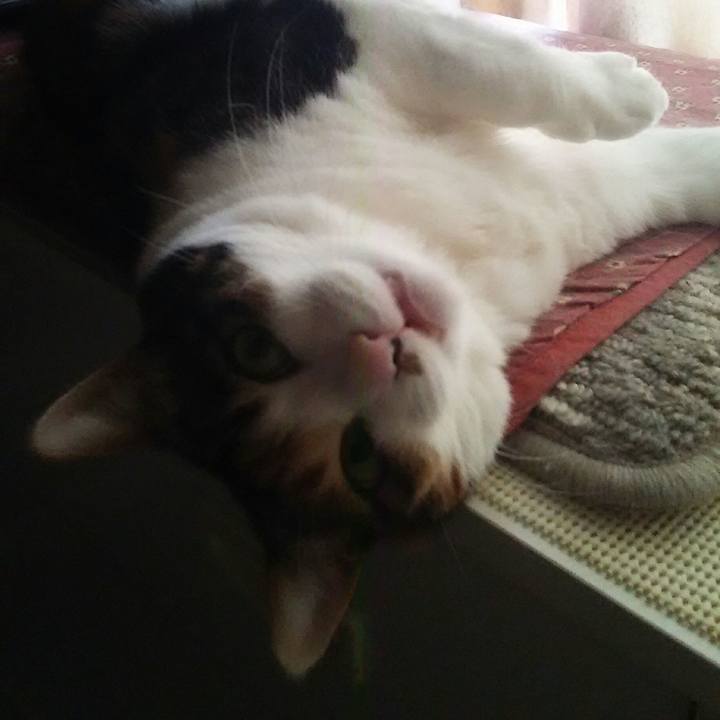 72857db3 e3b6 492a bba7 51ff4b86efce