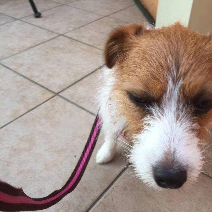 7285ddef bfdb 49b3 b3d4 977cfcf7e273