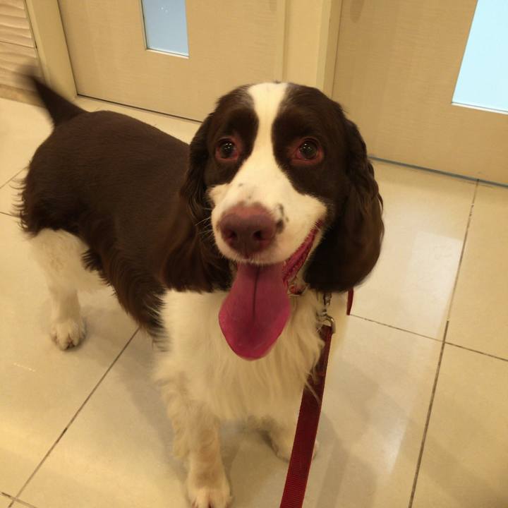 72862237 1a42 4fce 9152 cc1d92b4d503