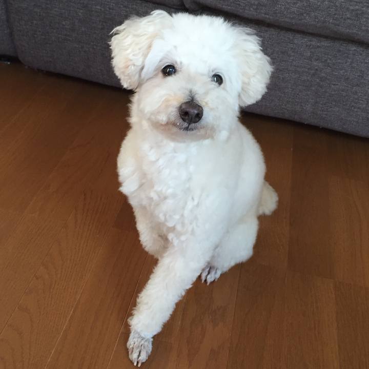 72862a7c fd0b 4bd2 be00 d4f1349aaa75