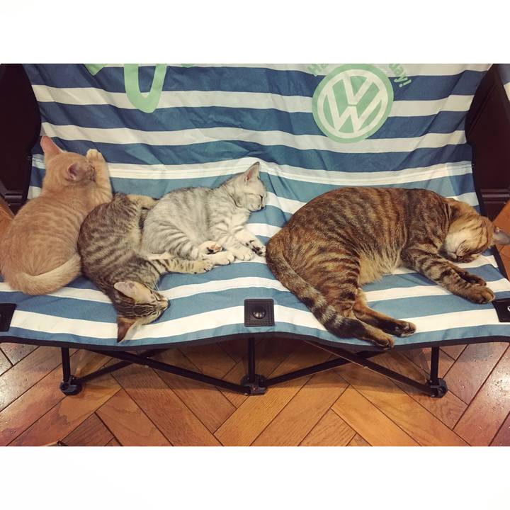 72867584 5166 4a3e b973 12d69c0ddef5