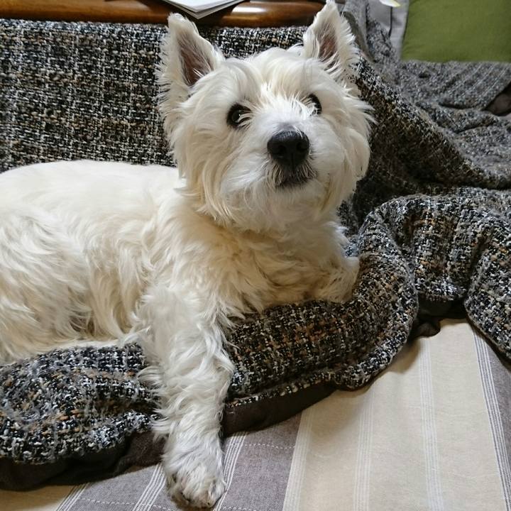 7287a5ec 6148 4442 bec5 29bd8638da2b