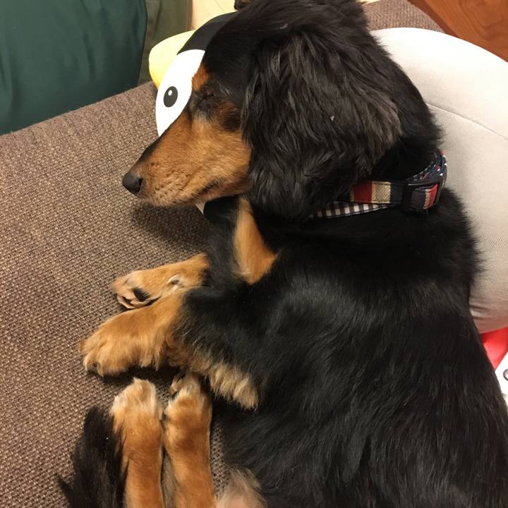 7287c5dd c100 4934 84d6 7d93aac8f668