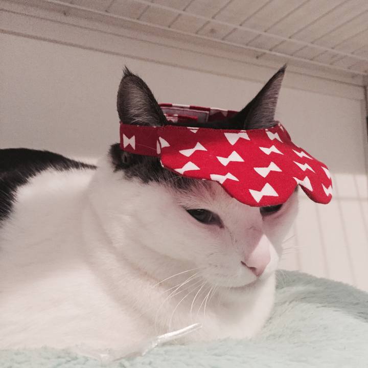 7287dadc 376f 4ff0 8121 225029fdab57