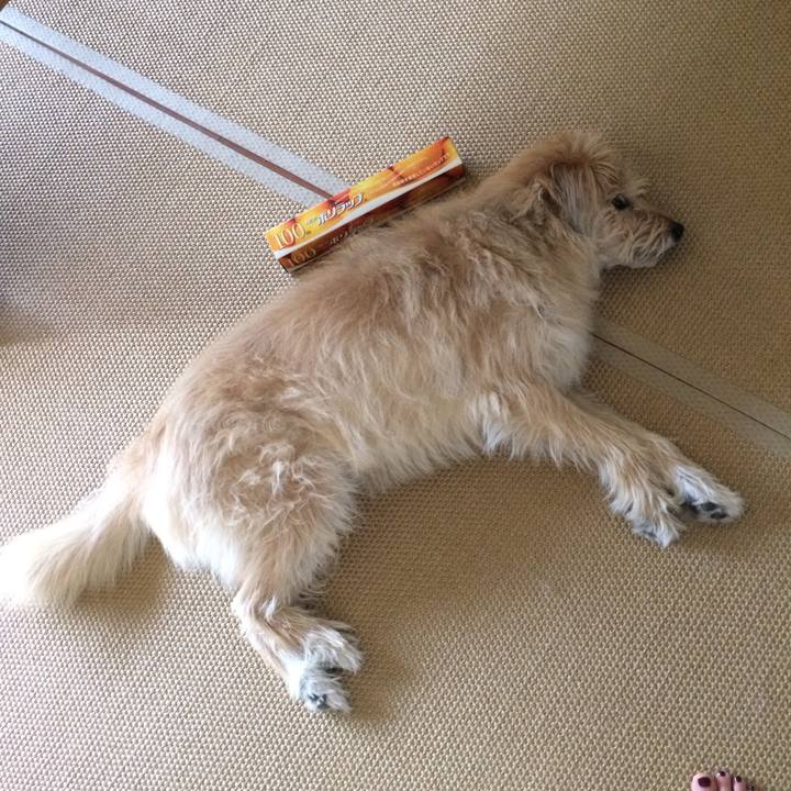 728867dd 5ab1 44fc 97cc a238c9bdf60f