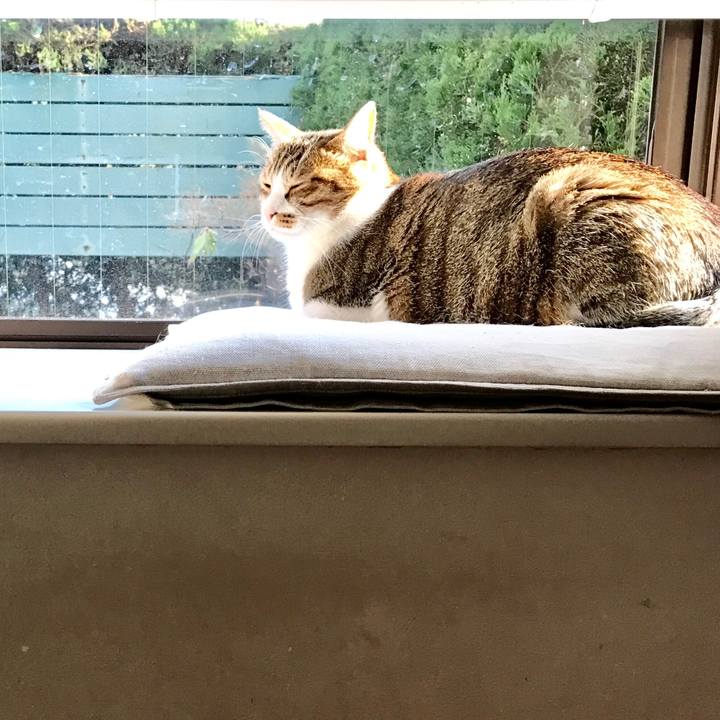 728906e2 a155 4481 afc1 ecdefe3ffbe8