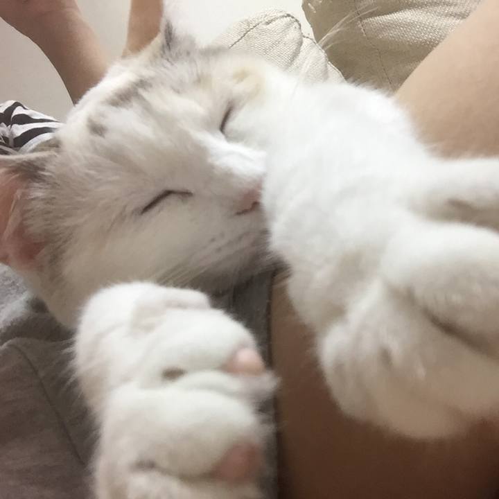 728a138f 234c 42a1 860d ada7373faa3c