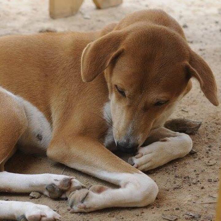 728ad5b3 3b95 4bc0 8c54 1d24781f4106