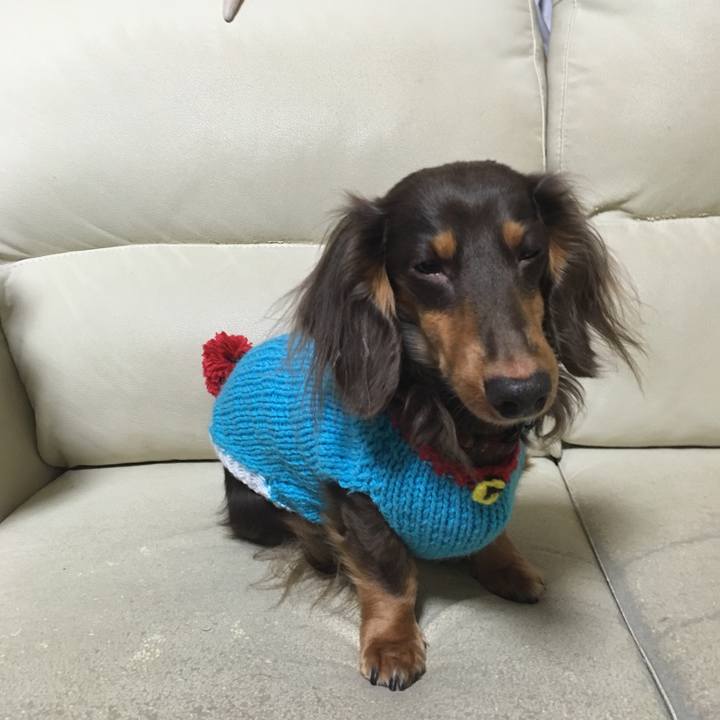 728afa59 8562 44c5 8f0e dd13f013d270