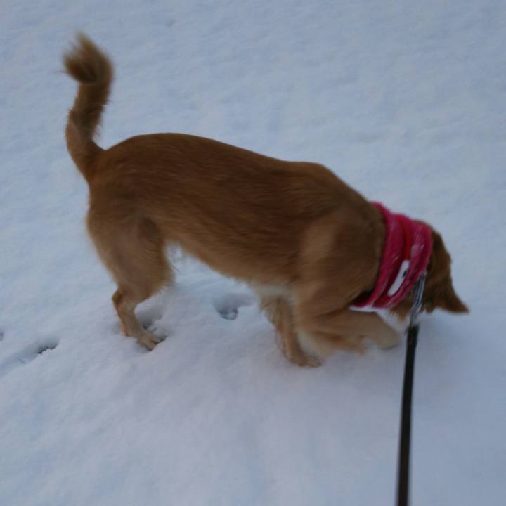 728b33cd b30c 49e8 9f63 afb78c4fc8f4